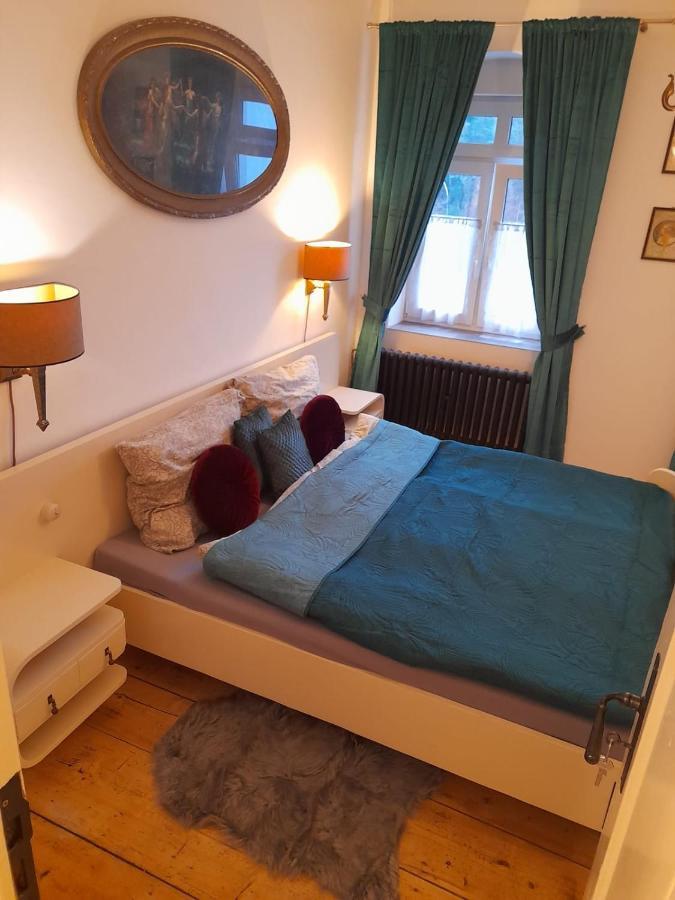 Zlata Leta - Apartmanovy Dum Jáchymov Exterior foto